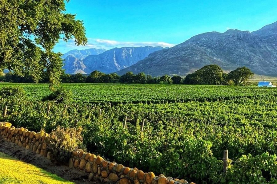 0 Bedroom Property for Sale in Franschhoek Rural Western Cape